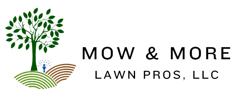 Mow and More Lawn Pros